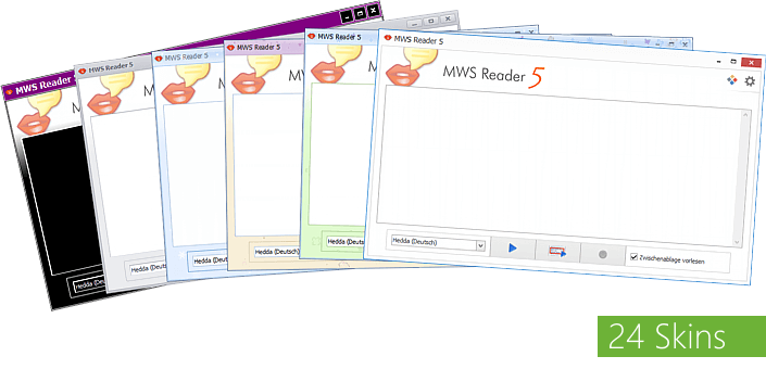 24 unterschiedliche Skins stehen zur Auswahl bereit (auch Design mit hohem Kontrast vorhanden)